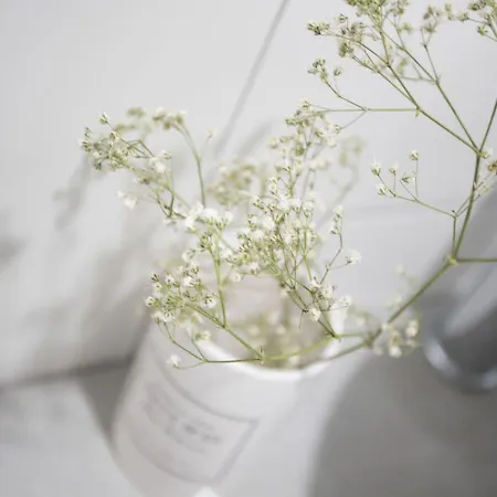 Singularstays Parque * Valencie