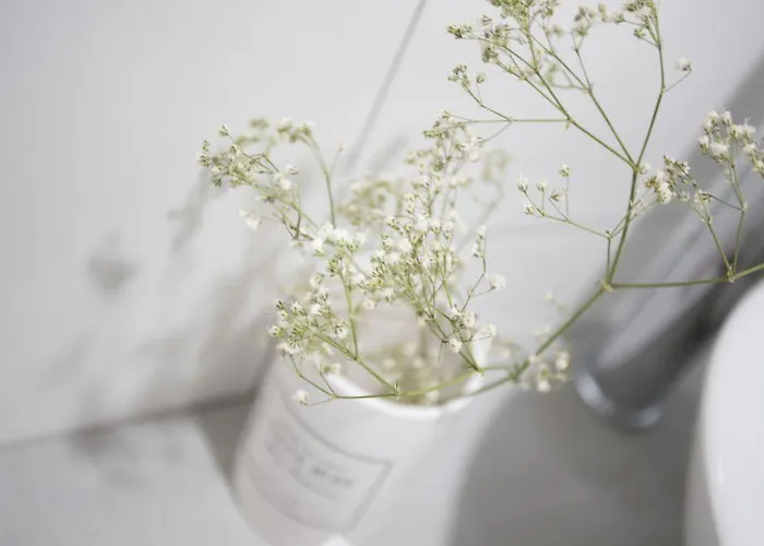 Singularstays Parque * 발렌시아